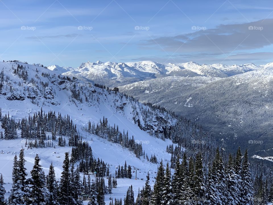 Winter scenery , mountains,  trees snow and a blue sky