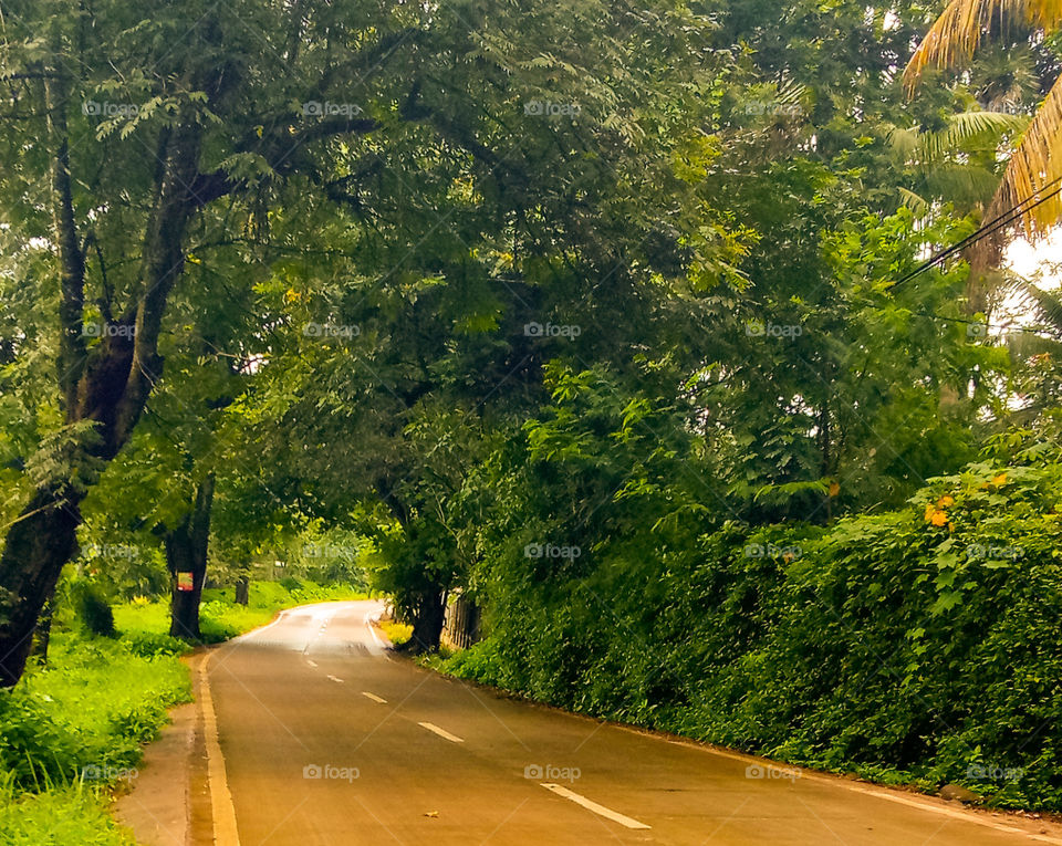 photo smartphone style
is beautiful