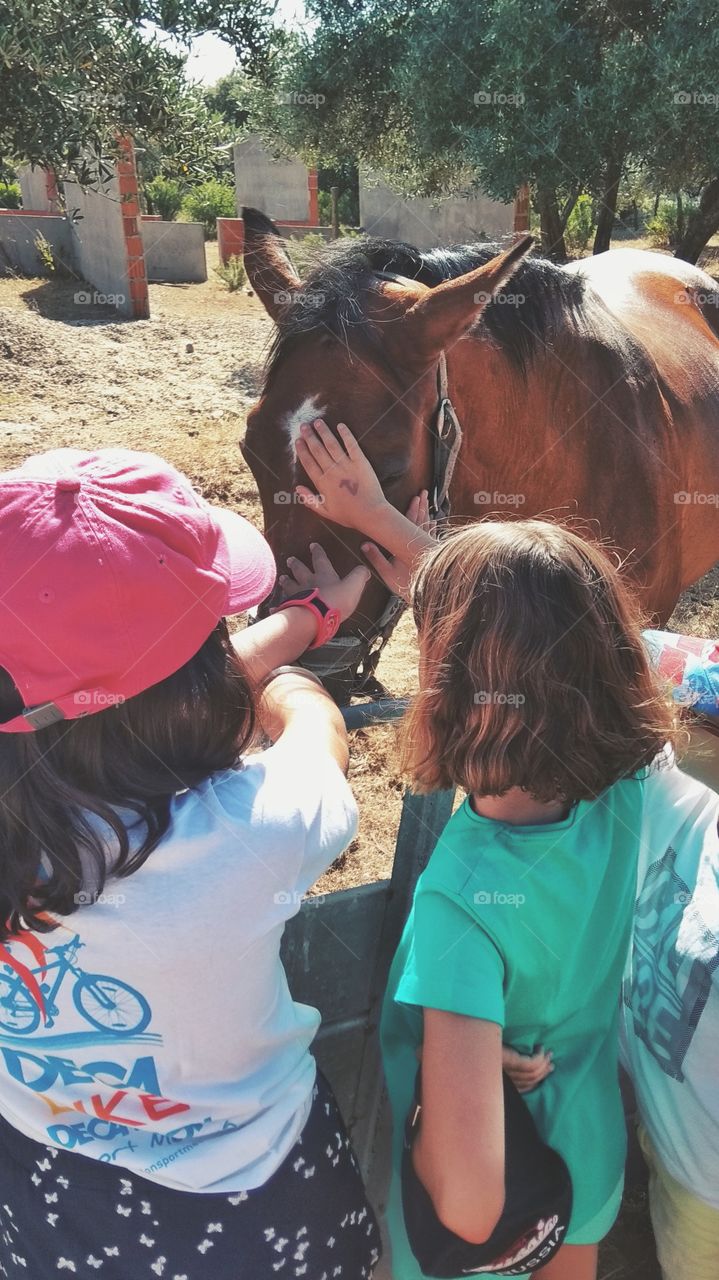 a trip to the farm