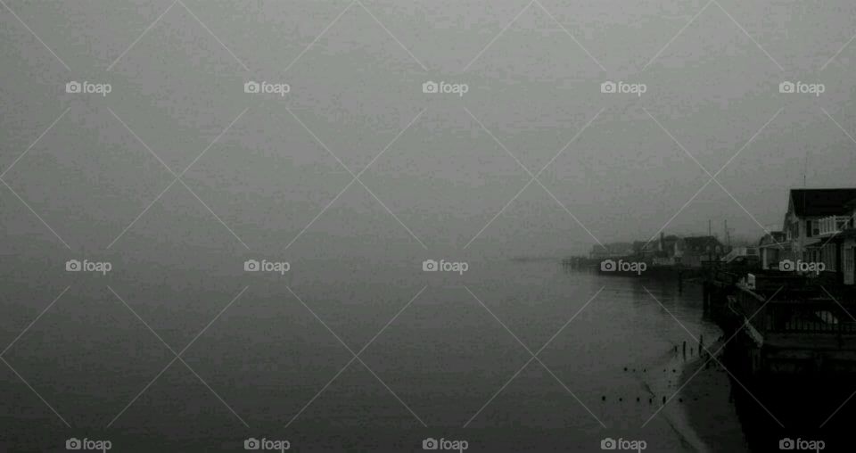fog on the bay
