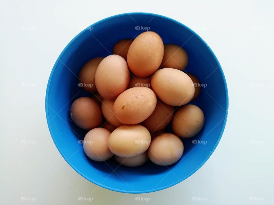 Geometry: Circle - eggs