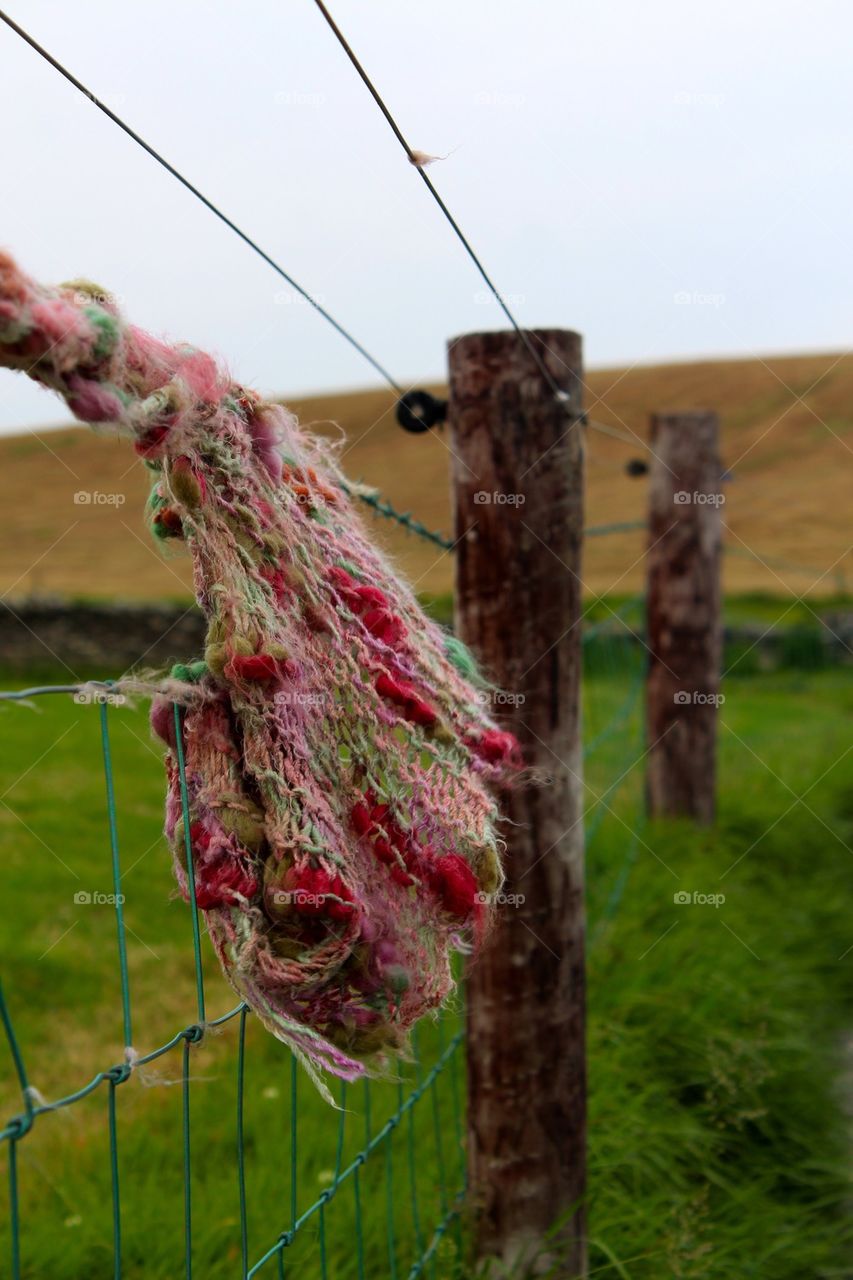 Wool of Ireland