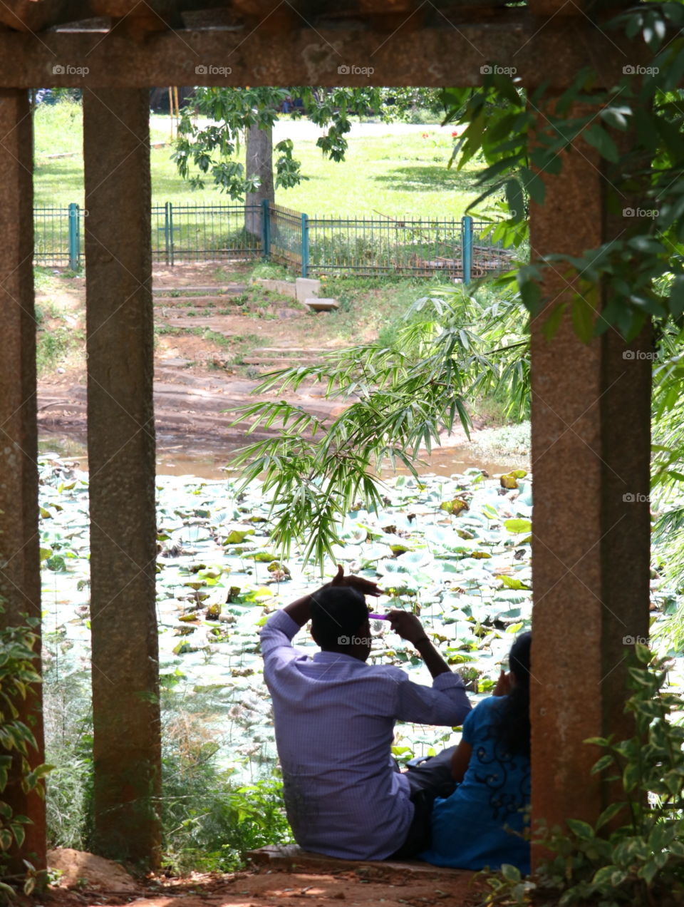 People, Tree, Adult, One, Wood