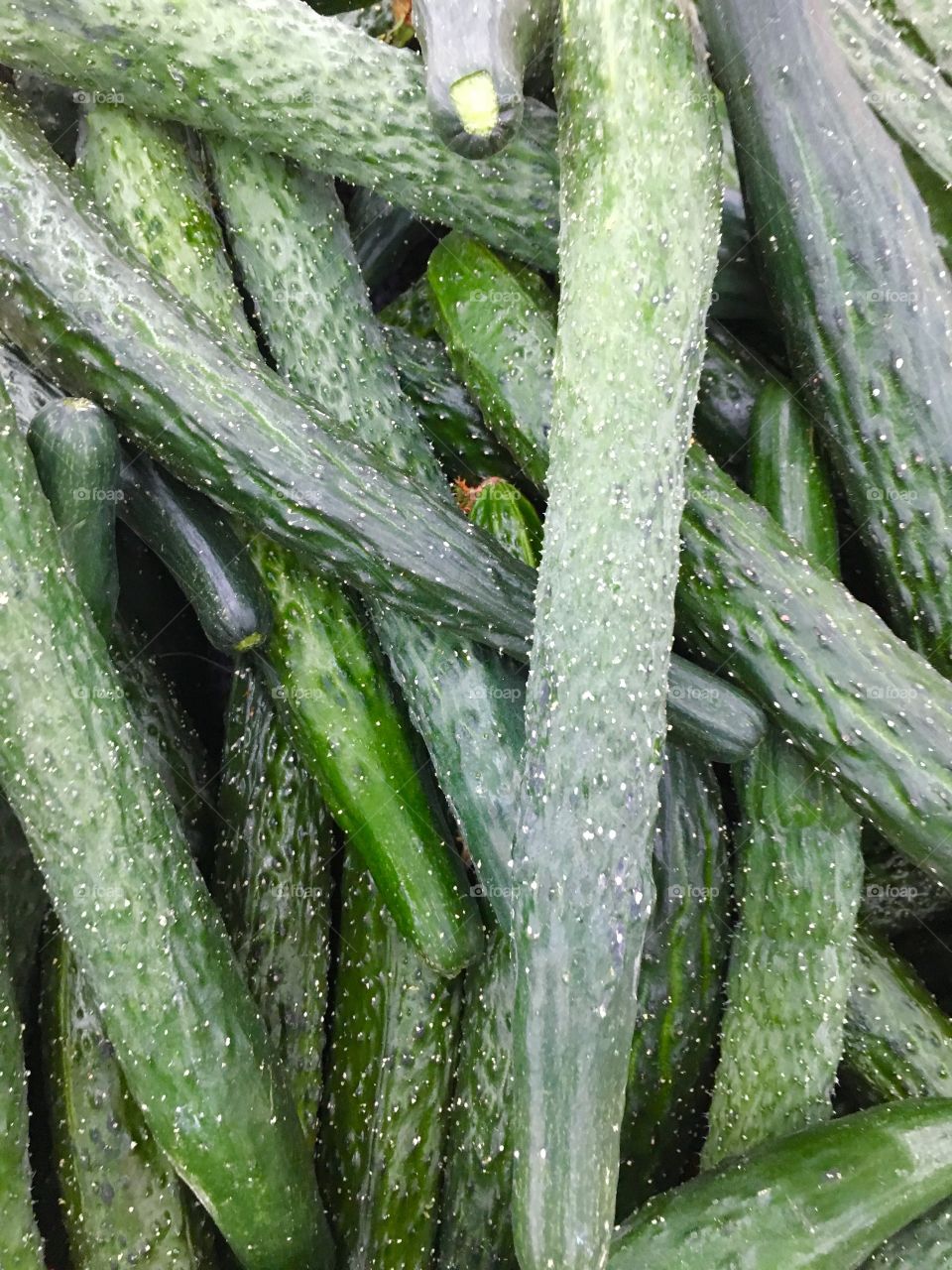 Cucumbers