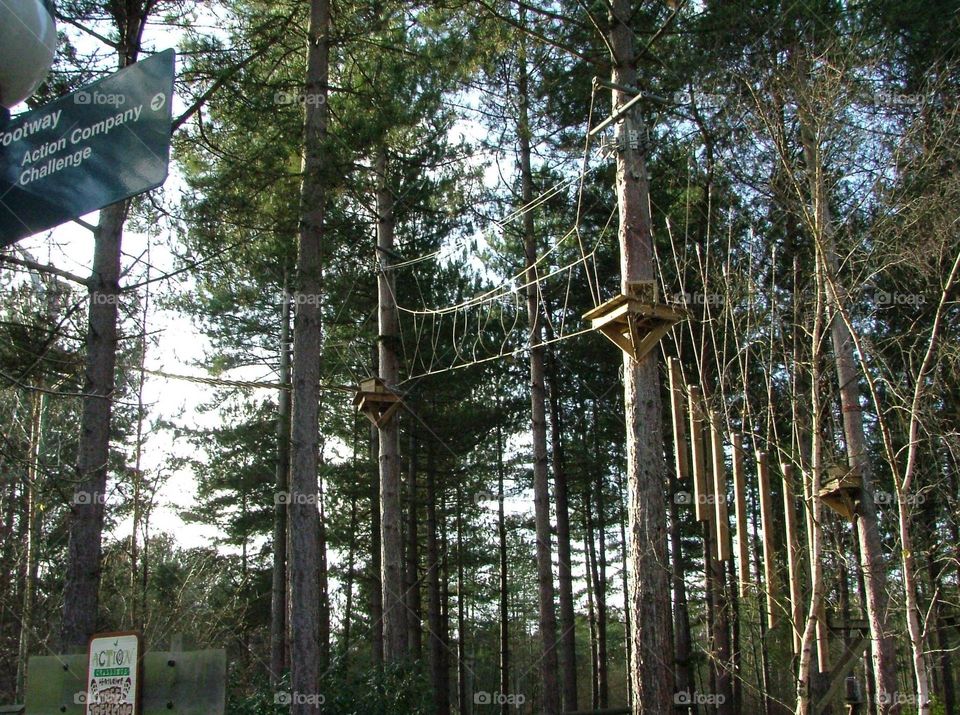 Aerial assault course 