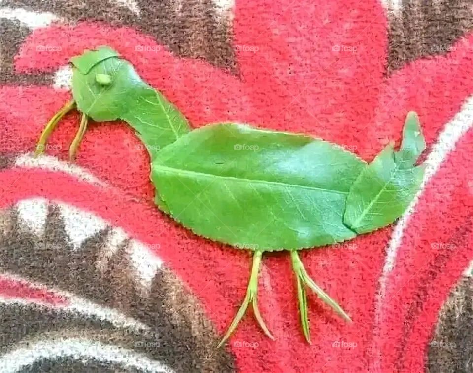 A very beautiful picture, and there is no better picture than it. There is no better picture of green herbs and colorful, red and white roses than it. Glory be to God, the natural and picturesque view, and there is no more