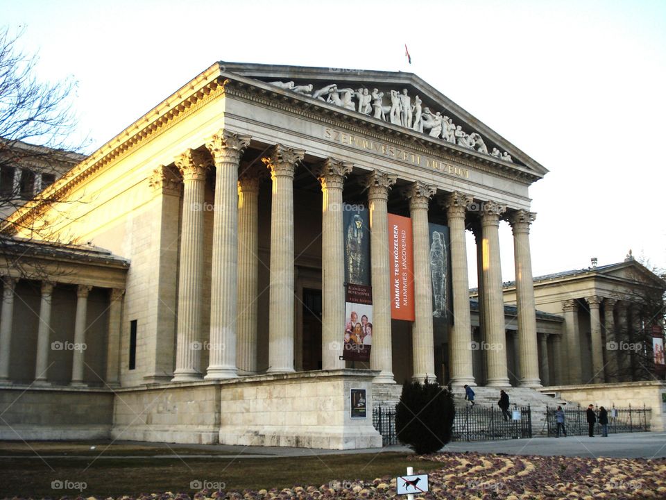 Museum of Fine Arts in Budapest