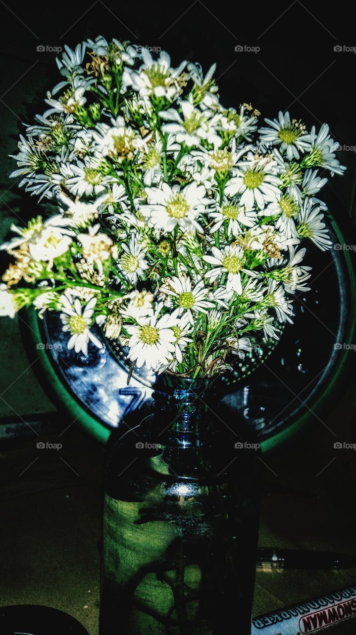 Flowers in a water pot