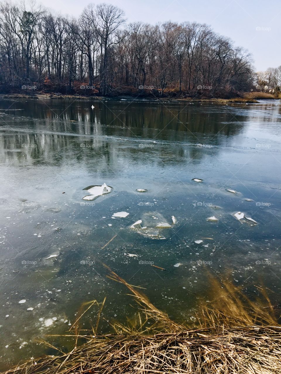 Frozen bubbles 