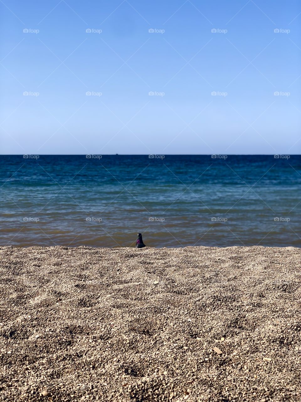 The beach and it’s colors