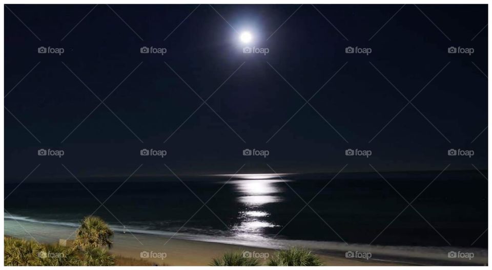 Looking from Ocean Beach