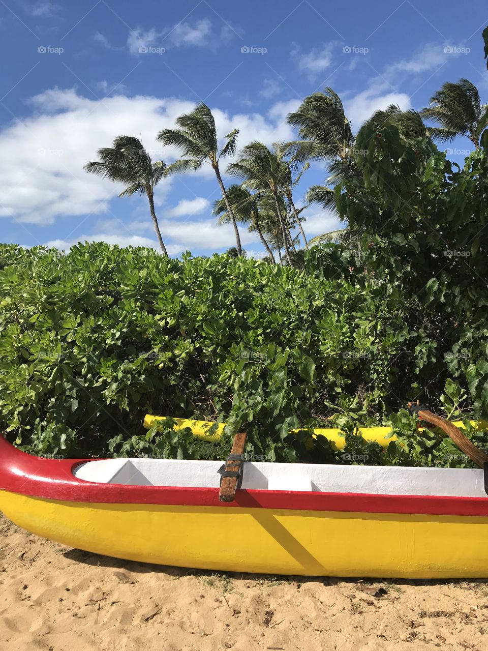 Colorful boat 