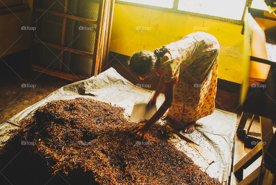 Tea factory in Sri Lanka 