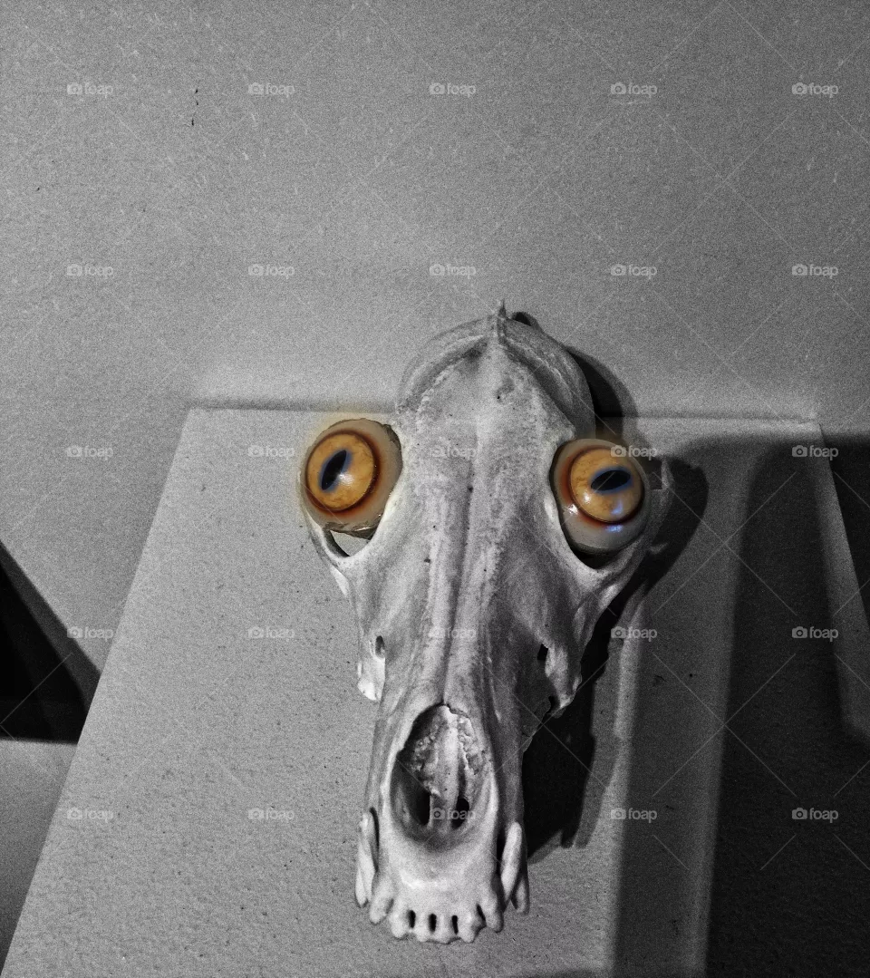 eyes
