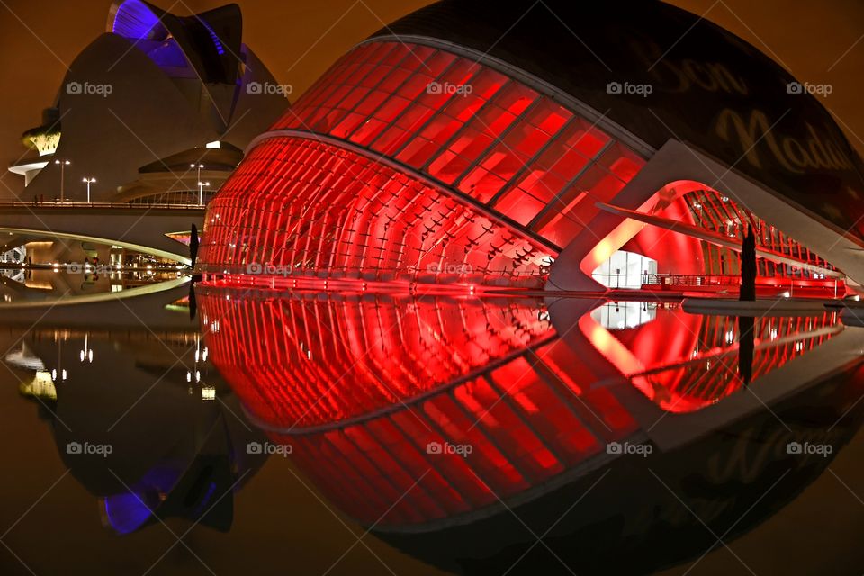 Ciudad de las Artes y las Ciencias 
City of Arts and Sciences