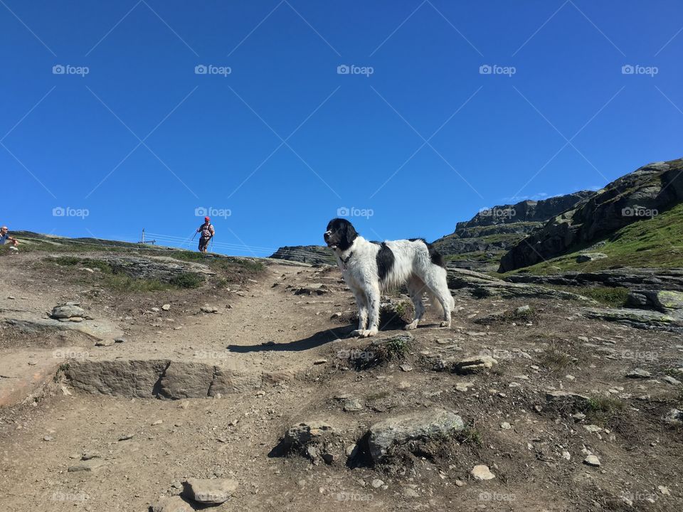 Landscape, No Person, Travel, Rock, Outdoors