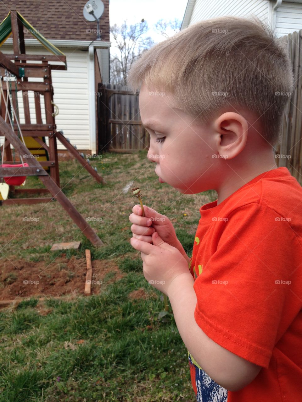 Little boy blowing flower