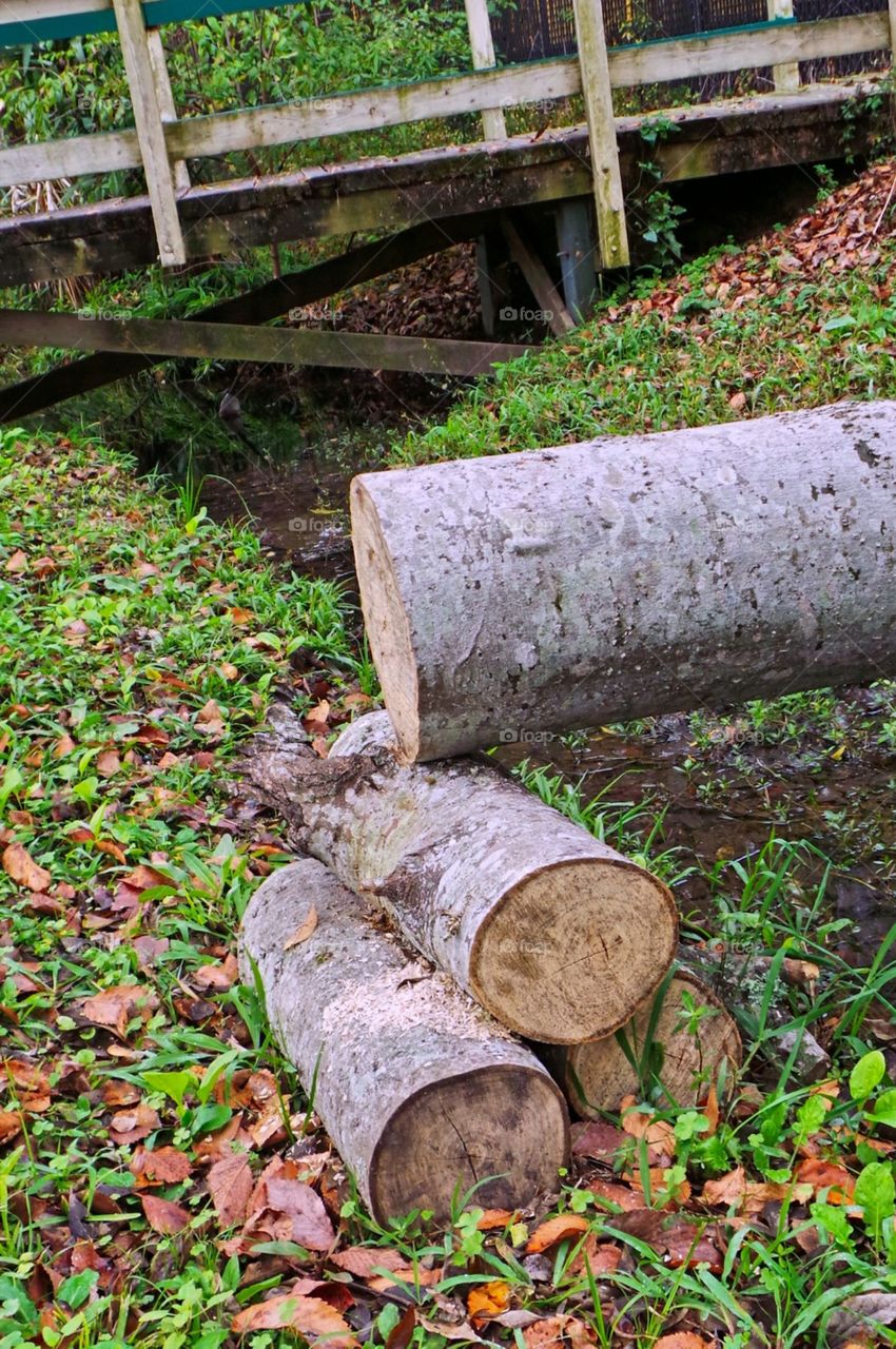 logs