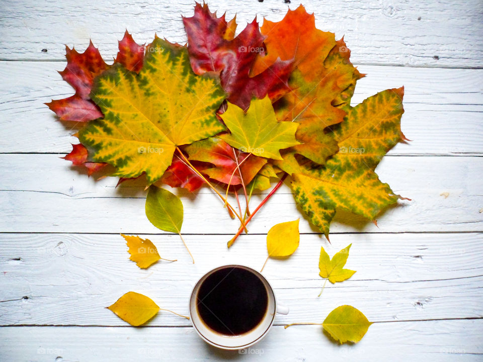 Coffee cup and autumn leaves