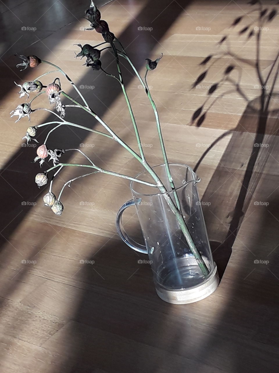 branch of rose with hips in glass jar stading on sunlit wooden floor