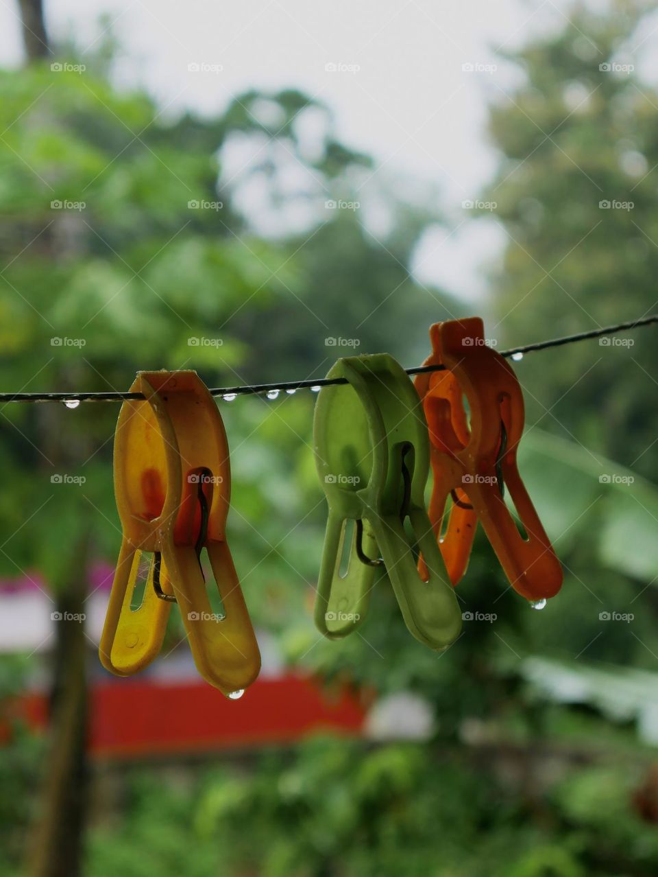 Autumn...the year's last, loveliest smile."