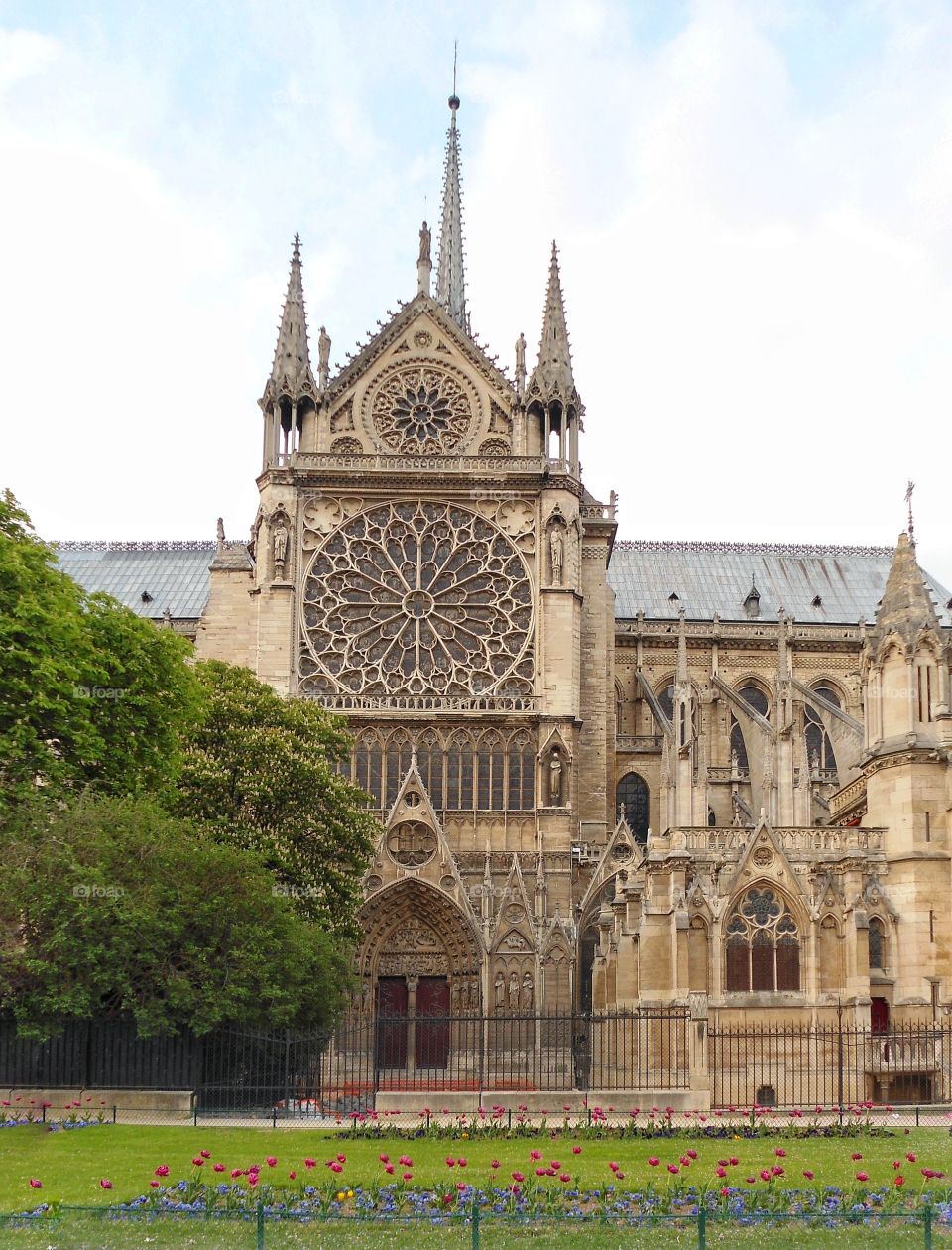 Cathedral of Notre Dame de Paris
