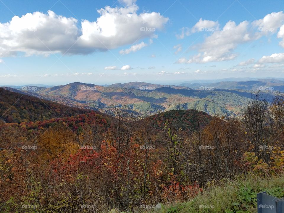 Roan Mountain