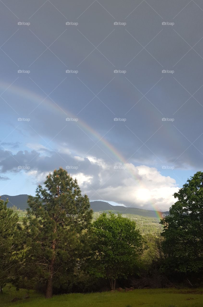 Another view of the double rainbow from my front porch. It was still raining even tho the sun peeked thru.