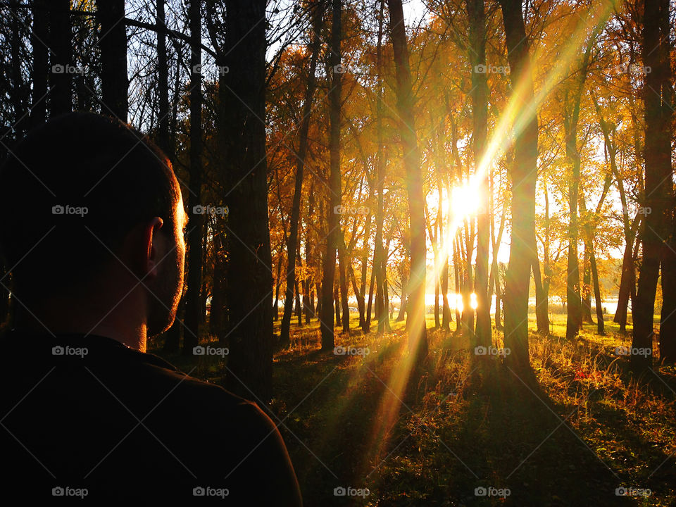 Silhouette of a young man watching the sunset rays of sun through the autumn forest 