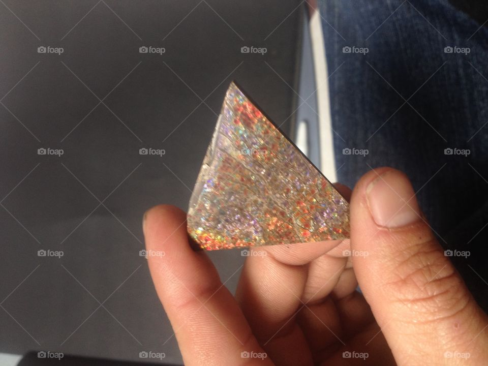 Triangular Ammolite rough 