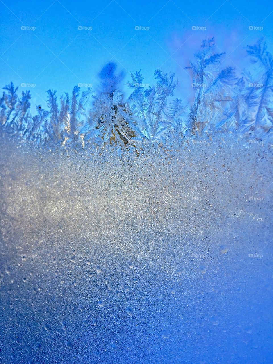 Scenic view during winter