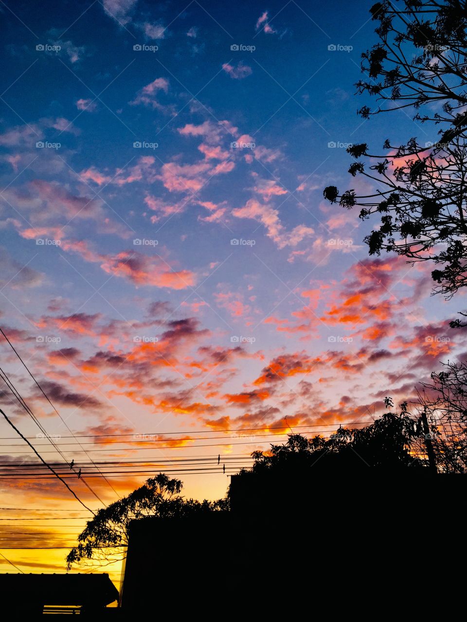 ☀️ 🇧🇷 
Manhã - A natureza despertando no belo amanhecer desta quarta-feira. Que tenhamos um bom dia de vida!

☀️🇺🇸
Morning - Nature awakening on the beautiful dawn of this Wednesday. May we have a good day of life!