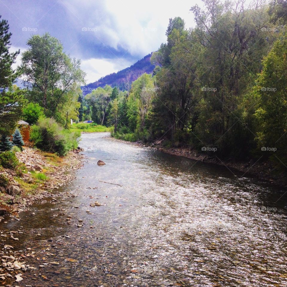 Rover Runs Through it ❤️