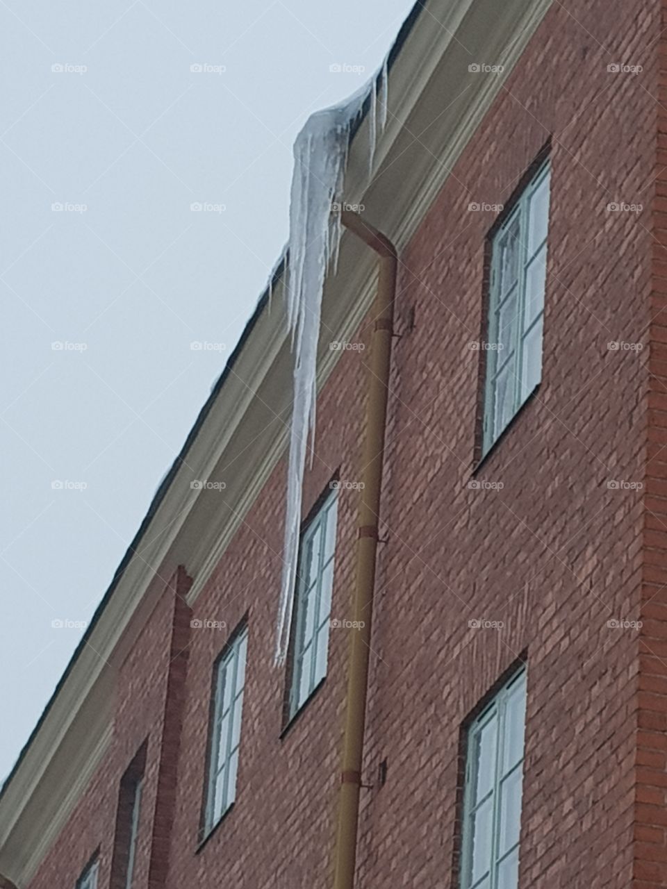 icicles