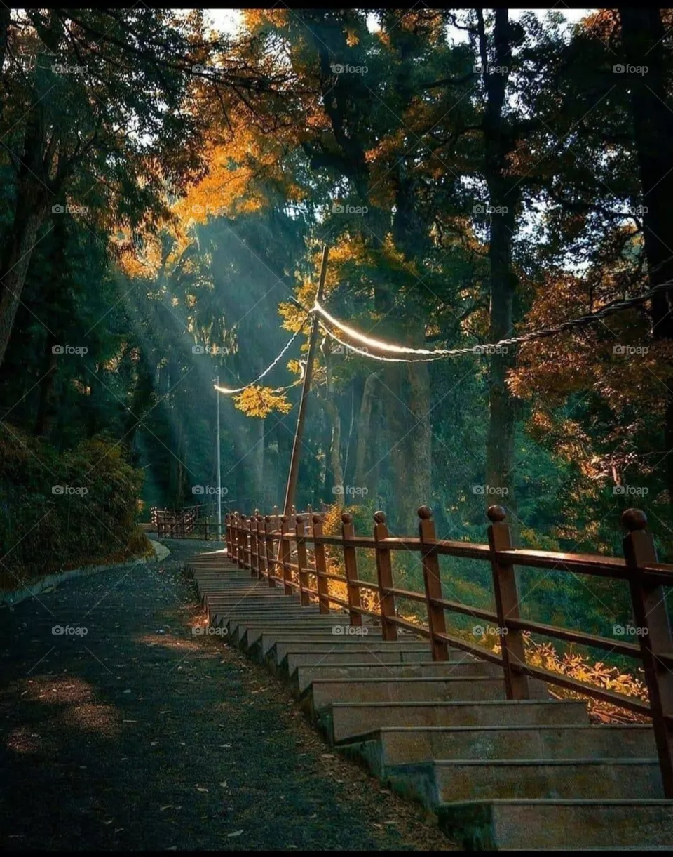 Stone steps