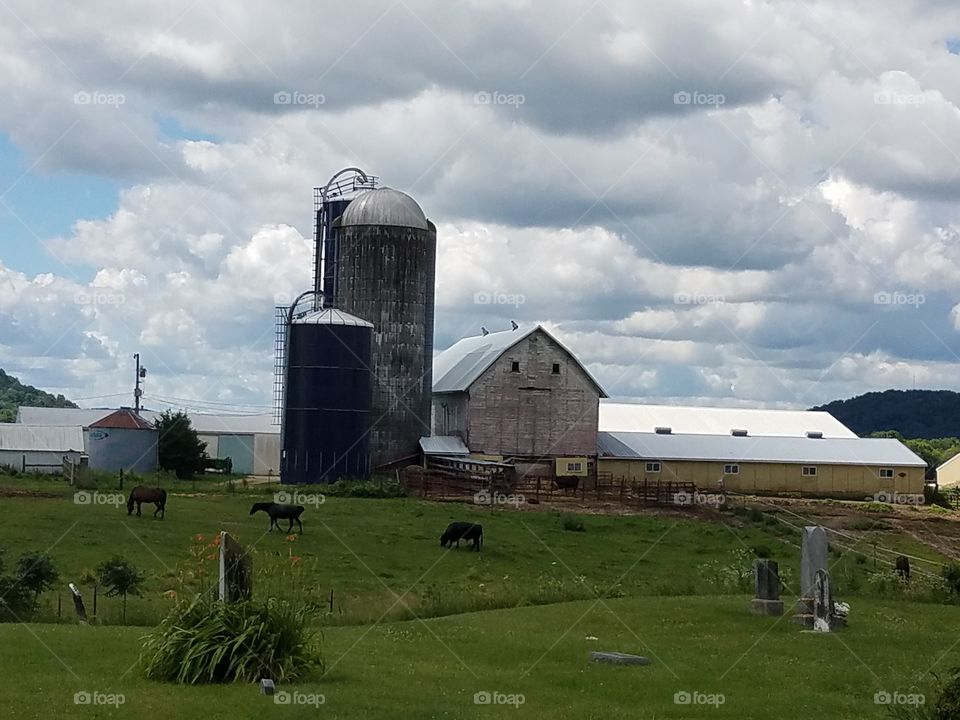 Driving the Back Roads and enjoying everything around us