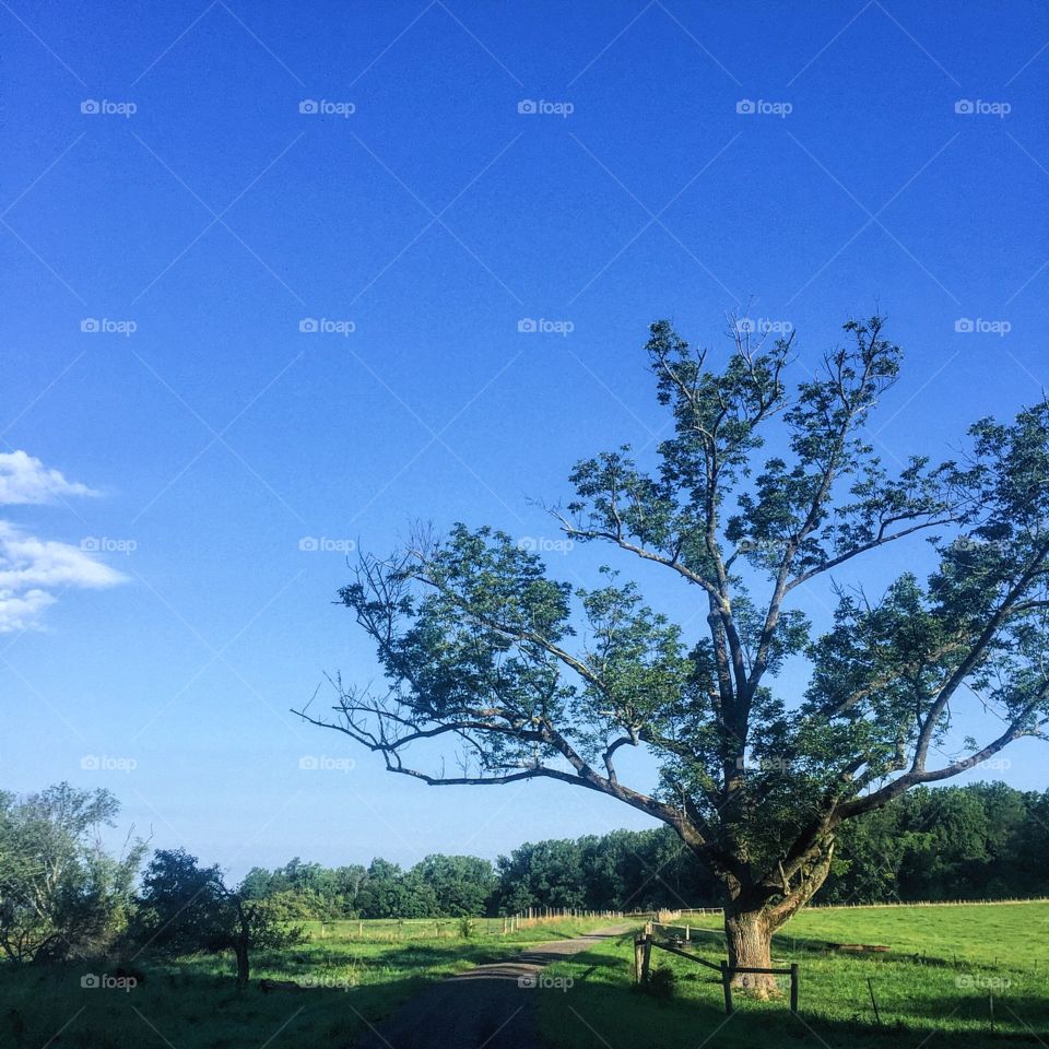 After nearly two hours in the woods this morning I emerged to blue skies smiling on me.