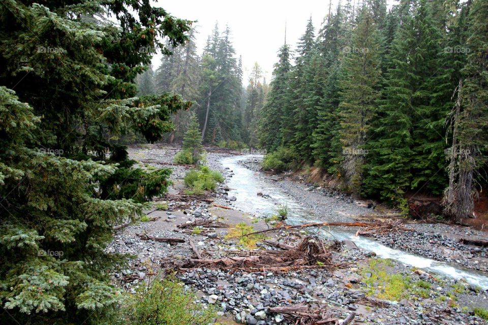 scene from Mt. Rainier