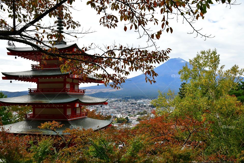 View of Mount Fuji