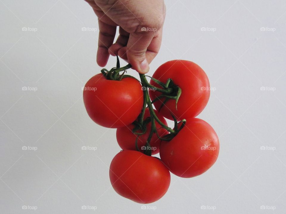 Tomato