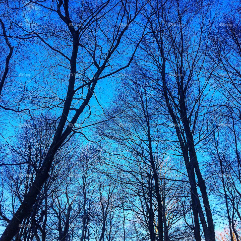 Clear day for a run. This reminds me of the park's central nervous system