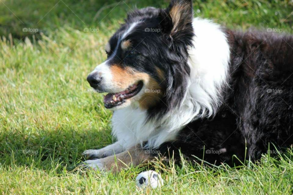 Enjoying My Ball