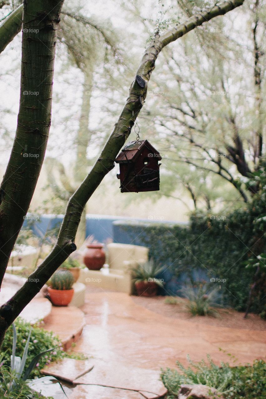 Rainy day bird house