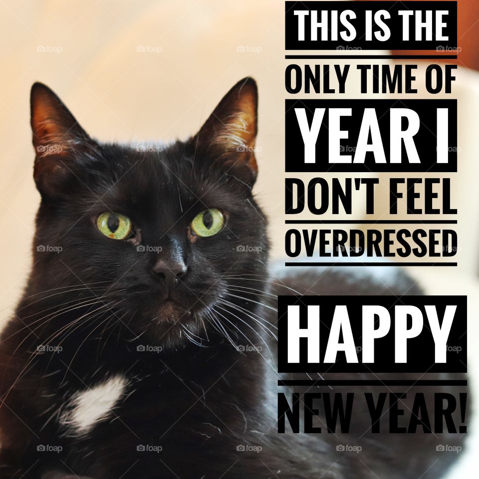 New Year Tuxedo Kitty