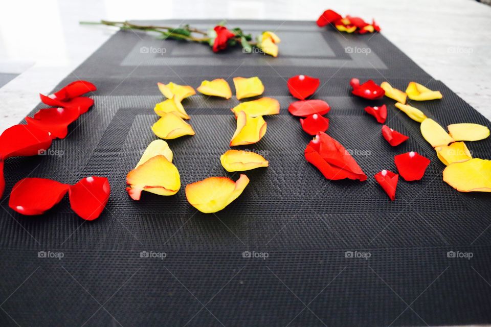 The word love written with rose pedals 