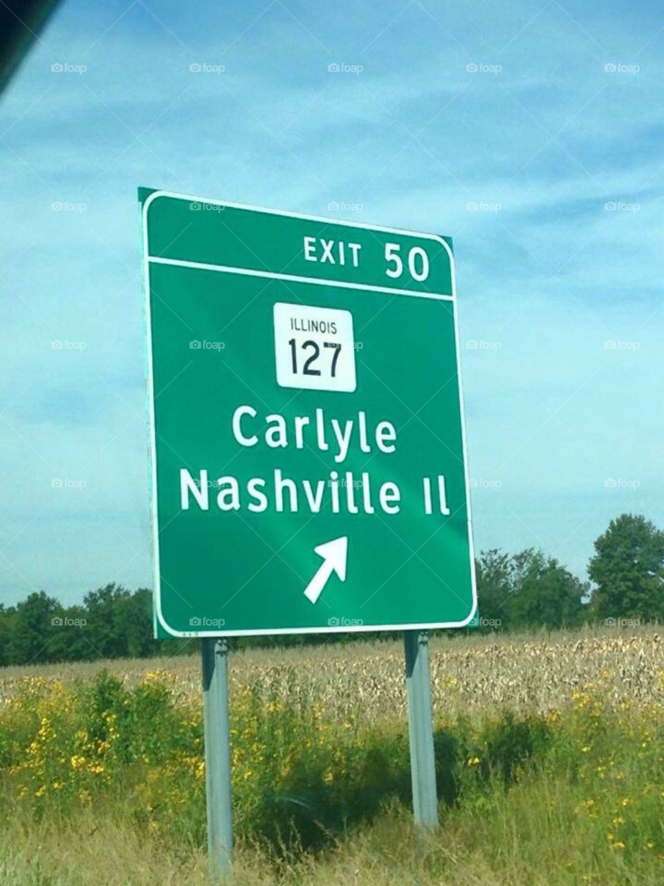 Nashville Illinois 