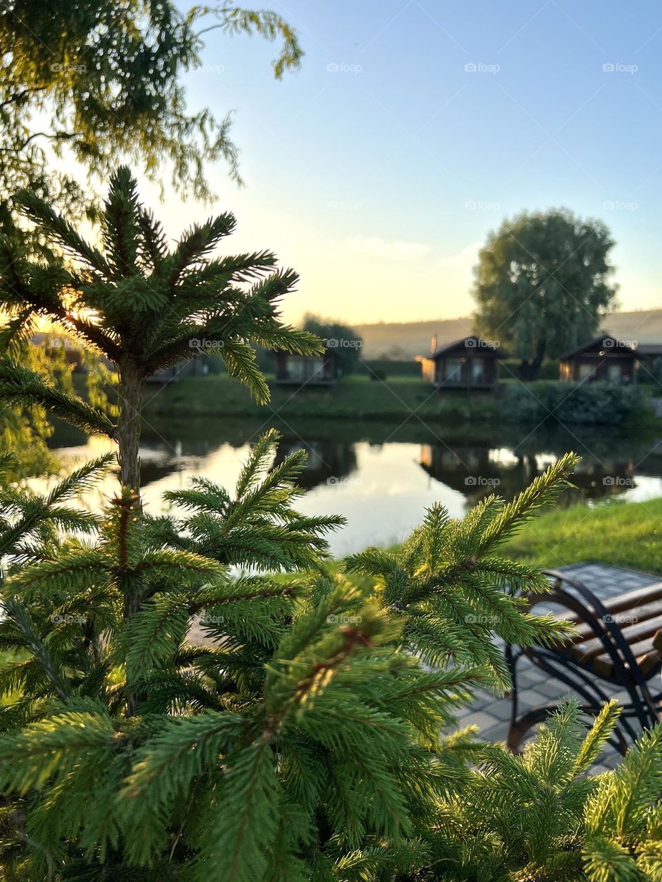 Эта фотография передает ощущение теплого летнего дня и призывает насладиться моментом прекрасной природы 