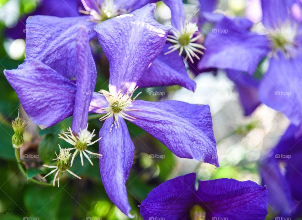 Some Still Have Them, Some Don’t