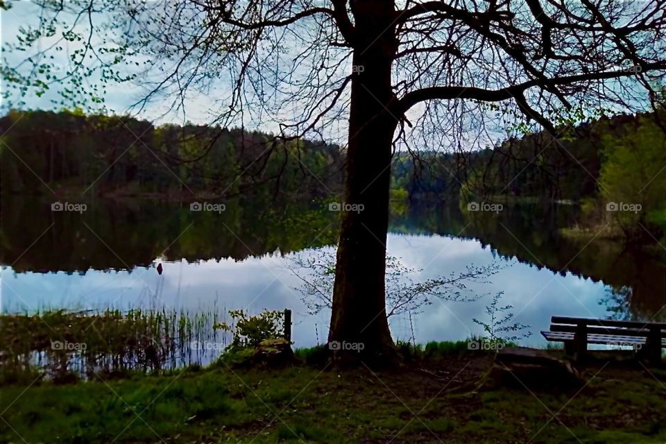This is „Eging Lake“, the „Eginger See“ by the town of „Eging“ in the „Bavarian Forest“, the „Bayerischer Wald“. This mountain lake is so still that it renders a perfect reflection of all that surrounds it. 2024. Hypnotic Productions