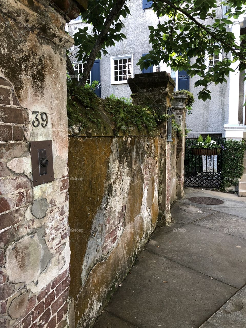 Charleston architecture 